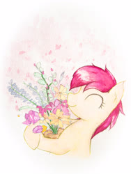 Size: 3024x4032 | Tagged: safe, artist:papersurgery, roseluck, earth pony, pony, g4, bust, eyes closed, female, flower, happy, mare, smiling, solo, traditional art, watercolor painting