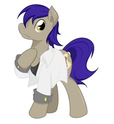 Size: 600x654 | Tagged: artist needed, safe, artist:lucas_gaxiola, oc, oc only, earth pony, pony, clothes, earth pony oc, hoof on chest, jacket, male, raised hoof, shirt, simple background, solo, stallion, standing, t-shirt, three quarter view, white background