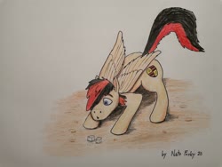 Size: 4000x3000 | Tagged: safe, artist:springtime fosky, oc, oc:porsche speedwings, pegasus, pony, curious, dirt, first time, folded wings, ground, looking at something, pegasus oc, pencil shading, photo, pounce, shading, shadow, solo, sugarcube, traditional art, wings