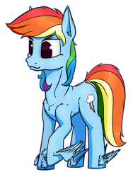 Size: 1298x1729 | Tagged: safe, artist:dacaoo, rainbow dash, pegasus, pony, g4, female, leg wings, misplaced wings, simple background, solo, transparent background, wat, winged hooves