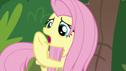 Size: 1920x1080 | Tagged: safe, screencap, fluttershy, pony, g4, she talks to angel, female, mare, open mouth, raised hoof, solo