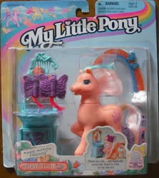 Size: 976x1093 | Tagged: safe, photographer:absol, tipsy tulip, g2, official, comb, magic motion friends, merchandise, mirror, packaging, text, toy