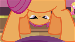 Size: 1671x942 | Tagged: safe, screencap, scootaloo, pony, g4, the cutie pox, cropped, female, solo, upside down