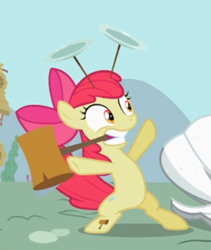 Size: 406x480 | Tagged: safe, screencap, apple bloom, earth pony, pony, g4, the cutie pox, bipedal, cropped, female, hammer, plate, plate spinning, solo, teeth
