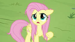 Size: 1920x1080 | Tagged: safe, screencap, fluttershy, pegasus, pony, g4, she talks to angel, female, floppy ears, mare, messy mane, messy tail, open mouth, solo