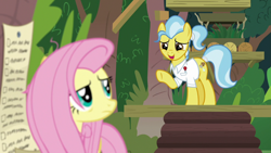 Size: 1920x1080 | Tagged: safe, screencap, doctor fauna, fluttershy, earth pony, pony, g4, she talks to angel, checklist, female, mare, messy mane