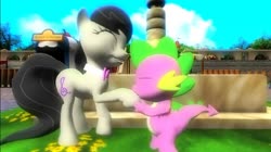 Size: 1024x575 | Tagged: safe, artist:undeadponysoldier, octavia melody, spike, dragon, earth pony, pony, g4, 3d, bowtie, collar, cute, female, fountain, gmod, happy, holding hoof, hoof kissing, kissing, male, mare, millenial fair, pleased, ship:spiketavia, shipping, smiling, straight, tent