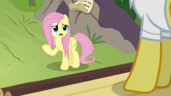 Size: 1920x1080 | Tagged: safe, screencap, doctor fauna, fluttershy, pegasus, pony, g4, she talks to angel, female, mare, messy mane, raised hoof