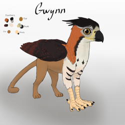 Size: 2560x2560 | Tagged: safe, artist:gammahoof, oc, oc only, oc:gwynn, griffon, high res, male, piercing, reference sheet, simple background, smiling, solo