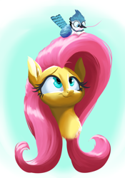 Size: 1400x2000 | Tagged: safe, artist:rocket-lawnchair, fluttershy, bird, blue jay, pegasus, pony, g4, bust, chest fluff, cute, female, looking up, shyabetes, smiling, solo