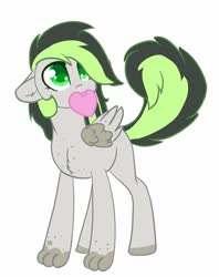 Size: 788x996 | Tagged: safe, artist:noxi1_48, oc, oc only, oc:bree jetpaw, dog, dog pony, hybrid, pegasus, pony, commission, cute, daaaaaaaaaaaw, happy, heart, looking up, mouth hold, ocbetes, pegasus oc, simple background, solo, white background, wings, your character here