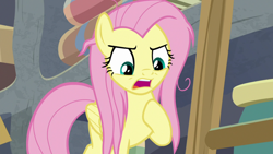 Size: 1920x1080 | Tagged: safe, screencap, fluttershy, pegasus, pony, g4, she talks to angel, angry, female, hoof on chest, mare, messy mane, solo
