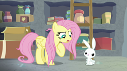 Size: 1920x1080 | Tagged: safe, screencap, angel bunny, fluttershy, pegasus, pony, rabbit, g4, she talks to angel, animal, duo, female, ladder, male, mare, messy mane, pointing at self