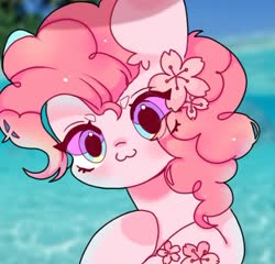 Size: 650x625 | Tagged: dead source, safe, artist:door_doorchild, pinkie pie, earth pony, pony, g4, :3, blurry background, bust, cute, diapinkes, eye clipping through hair, female, flower, flower in hair, looking at you, mare, ocean, solo
