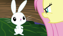 Size: 1920x1080 | Tagged: safe, screencap, angel bunny, fluttershy, pony, rabbit, g4, she talks to angel, animal, female, male, mare, open mouth, zecora's hut