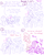 Size: 4779x6013 | Tagged: safe, artist:adorkabletwilightandfriends, cheerilee, cloudchaser, flitter, twilight sparkle, alicorn, earth pony, pegasus, pony, comic:adorkable twilight and friends, g4, adorkable, adorkable twilight, arched back, ass up, bending, bent over, bow, butt, clothes, comic, concerned, confident, contorted, cute, dimples, dimples of venus, dork, downward dog, exercise, hot yoga, humor, innuendo, plot, pose, poses, rec center, slice of life, socks, stretch, stretching, sweat, twibutt, twilight sparkle (alicorn), workout, yoga