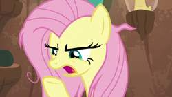 Size: 1920x1080 | Tagged: safe, screencap, fluttershy, pony, g4, she talks to angel, angry, female, mare, messy mane, open mouth, solo