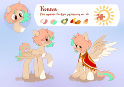 Size: 2400x1700 | Tagged: safe, artist:raily, oc, oc only, pegasus, pony, solo