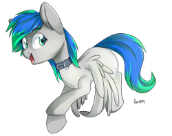 Size: 866x683 | Tagged: safe, artist:fantom, oc, oc only, oc:henry, pegasus, pony, collar, cute, eyebrows, eyebrows visible through hair, fangs, female, looking at you, mare, open mouth, rule 63, signature, simple background, smiling, solo, spread wings, transparent background, wings
