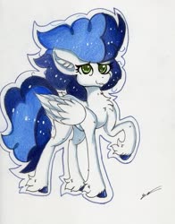 Size: 2321x2957 | Tagged: safe, artist:luxiwind, high winds, pony, g4, female, high res, solo, traditional art
