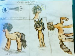 Size: 2438x1819 | Tagged: safe, oc, oc only, oc:celtic outcry, pony, unicorn, glasses, male, photo, reference sheet, self insert, solo, stallion, traditional art
