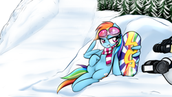 Size: 7417x4169 | Tagged: safe, artist:jetwave, rainbow dash, pegasus, pony, g4, absurd resolution, backwards cutie mark, camera, clothes, cute, dashabetes, explicit source, female, goggles, mare, peace sign, pose, scarf, sitting, smiling, snow, snowboard, solo, tree, wing hands, wing hold, wings, winter