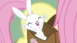Size: 1920x1080 | Tagged: safe, screencap, angel bunny, fluttershy, pony, rabbit, g4, she talks to angel, angelbetes, animal, bag, cheering, cute, eyes closed, male, saddle bag, solo focus