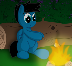Size: 3600x3300 | Tagged: safe, artist:agkandphotomaker2000, oc, oc:pony video maker, pegasus, pony, campfire, drawing, food, forest, high res, log, marshmallow, roasting, simple background, sitting, wooden stick