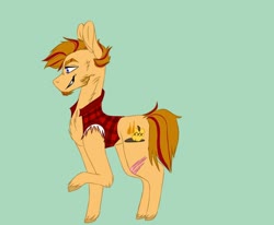 Size: 1024x844 | Tagged: safe, artist:hawklesscorruption, oc, oc:whiskey apple, earth pony, pony, chest fluff, clothes, facial hair, goatee, magical gay spawn, male, offspring, parent:big macintosh, parent:rockhoof, parents:rockmac, scar, sleeveless, stallion, trans male, vest