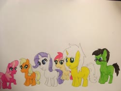 Size: 4032x3024 | Tagged: safe, artist:carlos324, applejack, cheerilee, rarity, roseluck, oc, oc:colt halo knight, oc:colt israel yabuki, oc:halo knight, oc:israel yabuki, earth pony, pony, unicorn, g4, female, filly, filly applejack, filly cheerilee, filly rarity, filly roseluck, ludwig van beethoven, marker drawing, mini beethoven, traditional art, younger