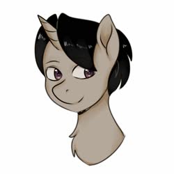 Size: 2000x2000 | Tagged: safe, artist:poofindi, oc, oc only, oc:archooves, pony, unicorn, bust, high res, horn, male, simple background, solo, stallion, white background