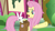Size: 1920x1080 | Tagged: safe, screencap, angel bunny, fluttershy, pony, rabbit, g4, she talks to angel, animal, bag, duo, female, male, mare, messy mane, open mouth, raised hoof, saddle bag