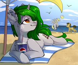 Size: 3000x2500 | Tagged: safe, artist:trickate, derpy hooves, doctor whooves, time turner, oc, bird, earth pony, pegasus, pony, unicorn, rcf community, g4, beach, beach ball, female, high res, lying down, male, mare, ocean, pepsi, playing, prone, relaxing, soda, stallion, trio, umbrella