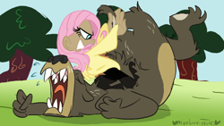 Size: 800x450 | Tagged: safe, artist:mirabuncupcakes15, fluttershy, harry, bear, human, g4, lesson zero, boots, clothes, dark skin, eyes closed, female, grass, humanized, jeans, male, pants, scene interpretation, shoes, sky, sports, sweater, sweatershy, tree, winged humanization, wings, wrestling