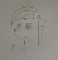 Size: 994x1024 | Tagged: safe, artist:frozen castle, oc, oc only, pony, drawing, half body, male, pencil drawing, sketch, smiling, solo, traditional art