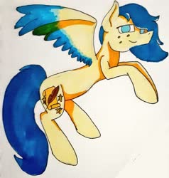 Size: 976x1024 | Tagged: artist needed, safe, oc, oc only, oc:aiding assistant, pegasus, pony, flying, freckles, male, photo, solo, stallion, traditional art