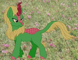 Size: 1024x798 | Tagged: safe, artist:chili19, oc, oc only, oc:fredric, kirin, colored hooves, frown, grass, irl, kirin oc, leonine tail, looking back, male, photo, solo