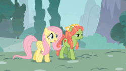 Size: 800x450 | Tagged: safe, screencap, fluttershy, tree hugger, earth pony, pegasus, pony, g4, make new friends but keep discord, animated, crosshair, duo, duo female, eye contact, eyes closed, female, folded wings, gif, lidded eyes, looking at each other, mare, outdoors, pink mane, pink tail, purple eyes, shadow, sniper, standing, tail, talking, target, teal eyes, two toned mane, two toned tail, walking, wings