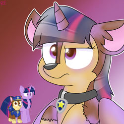 Size: 1250x1250 | Tagged: safe, artist:rainbow eevee, twilight sparkle, alicorn, dog, pony, g4, character to character, chase (paw patrol), collar, cute, gradient background, male to female, paw patrol, rule 63, rule63betes, simple background, transformation, transgender transformation, twilight sparkle (alicorn), twilight sparkle is not amused, unamused, wat