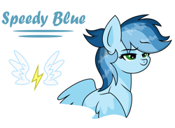 Size: 2861x2096 | Tagged: safe, artist:soarindash10, oc, oc only, oc:speedy blue, pony, cutie mark, from above, high res, lidded eyes, next generation, offspring, parent:rainbow dash, parent:soarin', parents:soarindash, pegasus oc, simple background, solo, wings