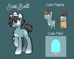 Size: 2560x2048 | Tagged: safe, artist:sugar morning, oc, oc only, oc:sea salt, pony, unicorn, commission, cutie mark, hat, high res, male, paper hat, reference sheet, solo, stallion