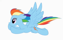 Size: 622x394 | Tagged: safe, artist:thesamstudio, rainbow dash, pegasus, pony, g4, animated, female, flying, gif, mare, simple background, solo, spread wings, windswept mane, wings