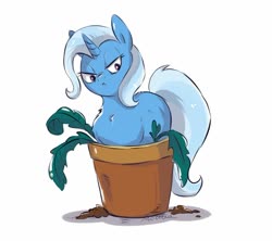 Size: 1280x1137 | Tagged: safe, artist:buttersprinkle, phyllis, trixie, pony, unicorn, g4, :c, >:c, behaving like a cat, chest fluff, female, flower pot, frown, garfield, grumpy, if i fits i sits, lidded eyes, lying down, mare, ponyloaf, potted plant, prone, simple background, solo, white background