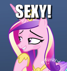 Size: 557x593 | Tagged: safe, edit, edited screencap, screencap, princess cadance, pony, best gift ever, g4, bedroom eyes, blushing, caption, cropped, discovery family logo, female, image macro, lidded eyes, meme, princess cadance is always horny, reaction image, seductive, seductive look, sexy, solo, stupid sexy princess cadance, text