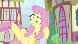 Size: 1920x1080 | Tagged: safe, screencap, angel bunny, fluttershy, pegasus, pony, g4, she talks to angel, body swap, confused, female, gritted teeth, looking down, male, mare, not fluttershy, overwhelmed, raised eyebrow, raised leg, shrunken pupils, so ridiculous it's funny