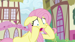 Size: 1920x1080 | Tagged: safe, screencap, angel bunny, fluttershy, pony, g4, she talks to angel, body swap, female, mare