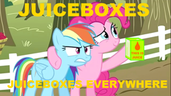 Size: 1050x590 | Tagged: safe, edit, edited screencap, screencap, pinkie pie, rainbow dash, g4, the super speedy cider squeezy 6000, 2012, bipedal, dexterous hooves, hoof hold, juice, juice box, meme, text, x x everywhere