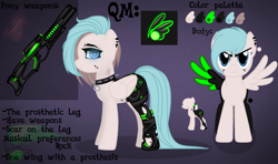 Size: 4400x2600 | Tagged: safe, artist:minachu, oc, oc only, oc:air strike, cyborg, pegasus, pony, amputee, artificial wings, augmented, collar, cross, ear piercing, earring, engrish, female, freckles, gun, jewelry, mare, piercing, prosthetic limb, prosthetic wing, prosthetics, reference sheet, rifle, scar, sniper rifle, solo, spiked collar, weapon, wings