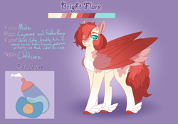 Size: 3500x2454 | Tagged: safe, artist:nobleclay, oc, oc only, oc:bright flare, pegasus, pony, eye clipping through hair, feathered fetlocks, high res, male, offspring, parent:cayenne, parent:feather bangs, solo, stallion