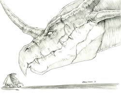 Size: 1280x994 | Tagged: safe, artist:baron engel, oc, oc only, oc:bent horn, oc:growler, dragon, duo, grayscale, monochrome, pencil drawing, scared, simple background, story included, traditional art, uh oh, white background
